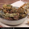 灯盏细辛图片,神秘草本植物的神奇功效揭秘
